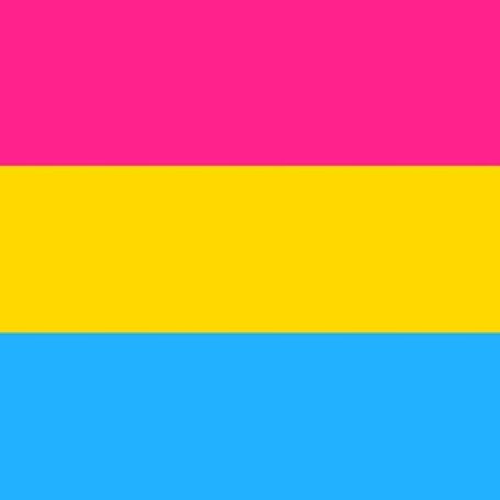 Pansexual and Panromantic Pride | talktotherainbow.co.uk