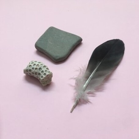 Spotlight on our team - Rose